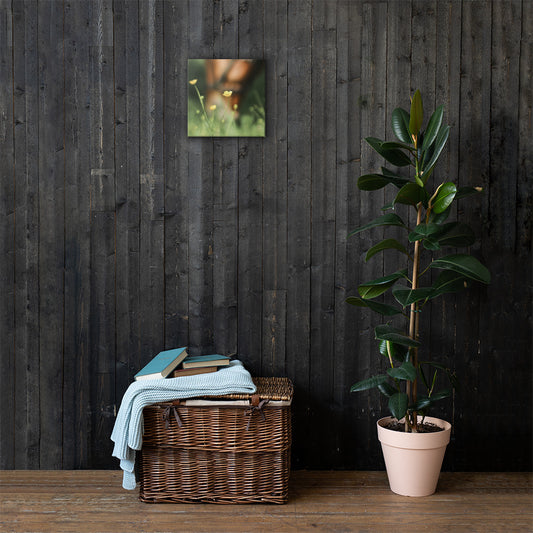 Farmhouse Studio-A Gracing Wildflower | Farmhouse Wall Decor  | Rustic Farm Living Room Wall Art | Vintage Homestead Canvas Print